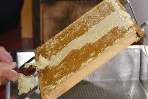 Honning tavlen skrælles